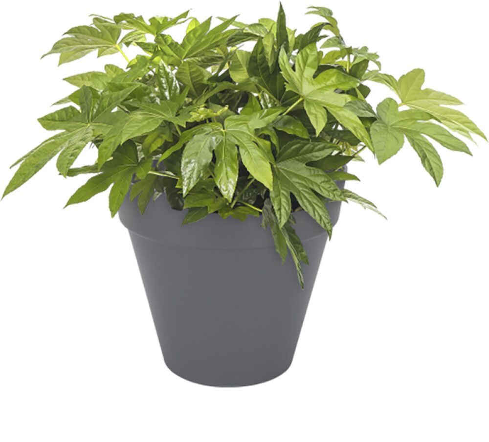 Blómapottur með hjólum Loft Urban Ø48,5 cm Elho dökkgrár