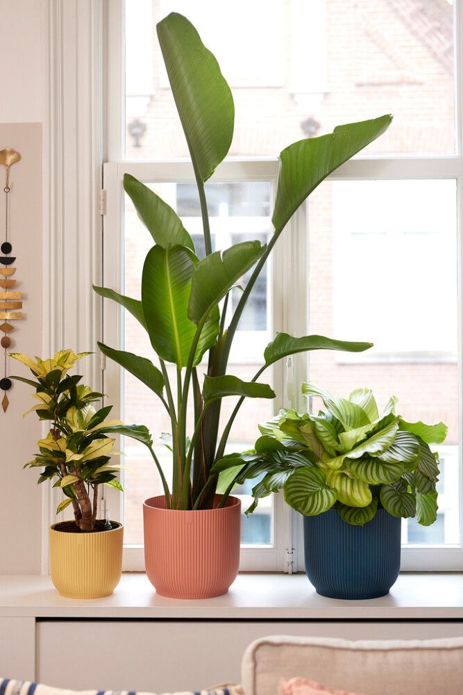 Blómapottur Vibes Fold Mini Ø11cm pink