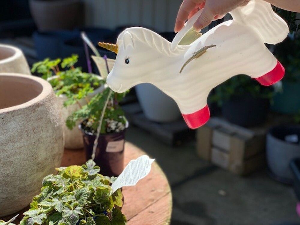 Vatnskanna einhyrningur 1,7L Garden Life