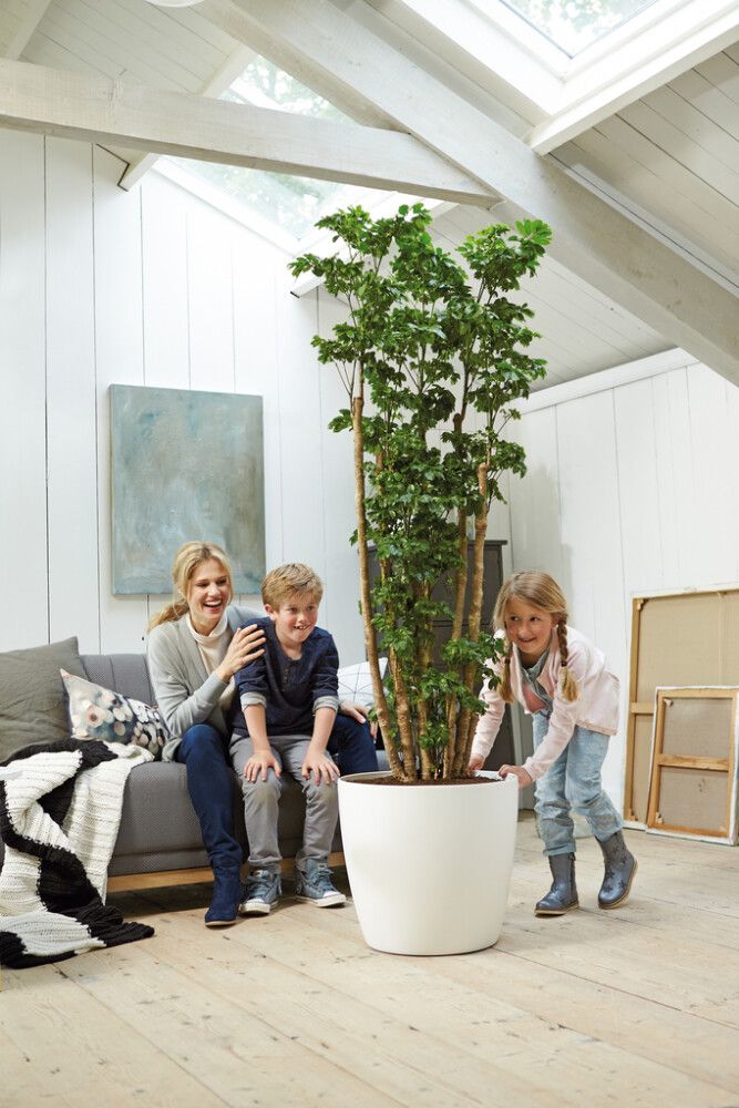 Blómapottur á hjólum Brussels Ø39cm hvítur