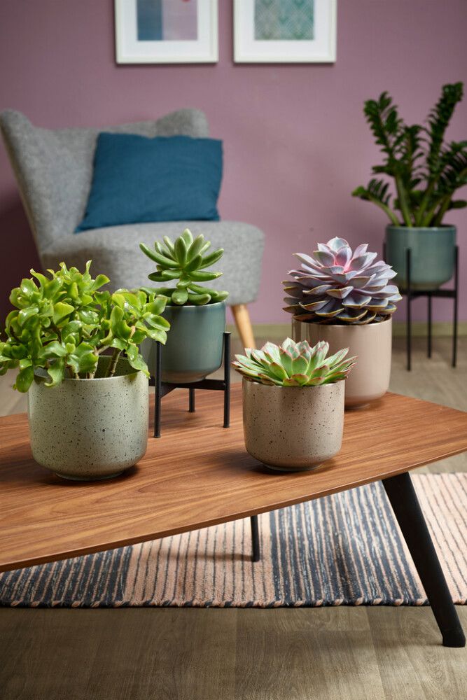 Blómapottur Bari grænn/blár Ø16cm Soendgen Keramik