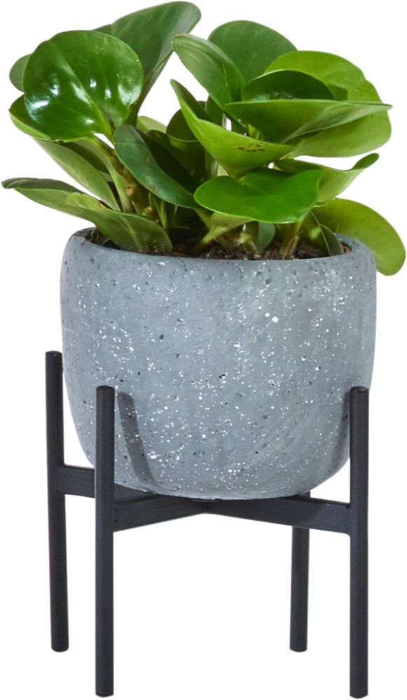 Fótur fyrir blómapott Ø17x14cm Soendgen Keramik