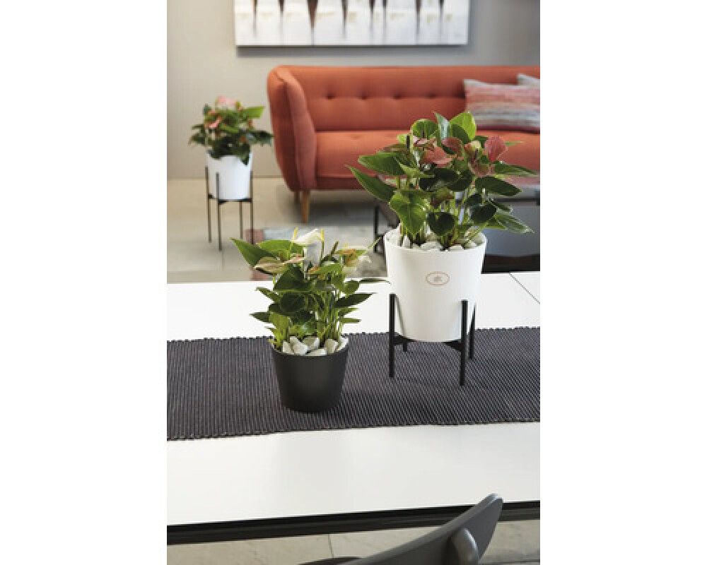 Fótur fyrir blómapott Ø17x14cm Soendgen Keramik