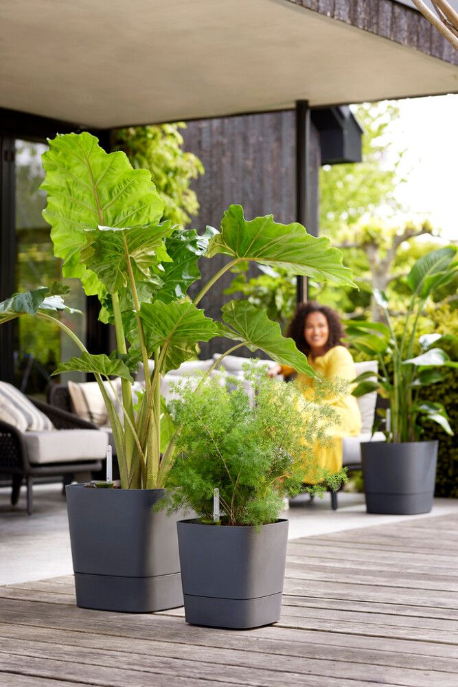 Útiblómapottur Greensense Aqua Care 38x38cm dökkgrár