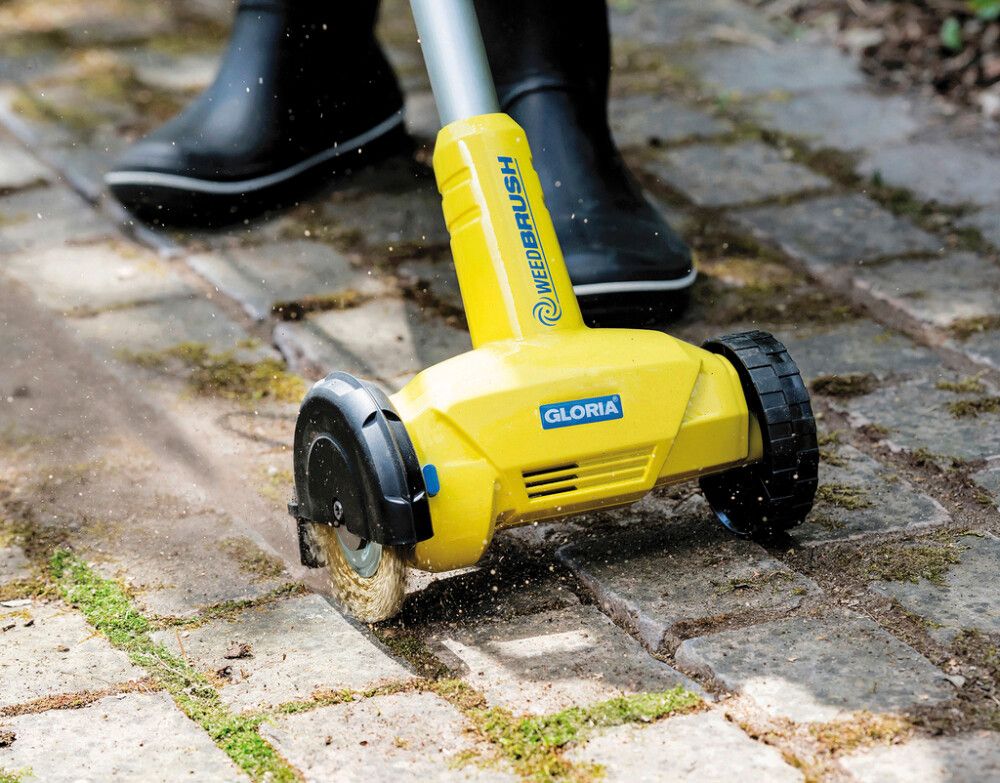 Skífa í hellubursta Ø11cm stál