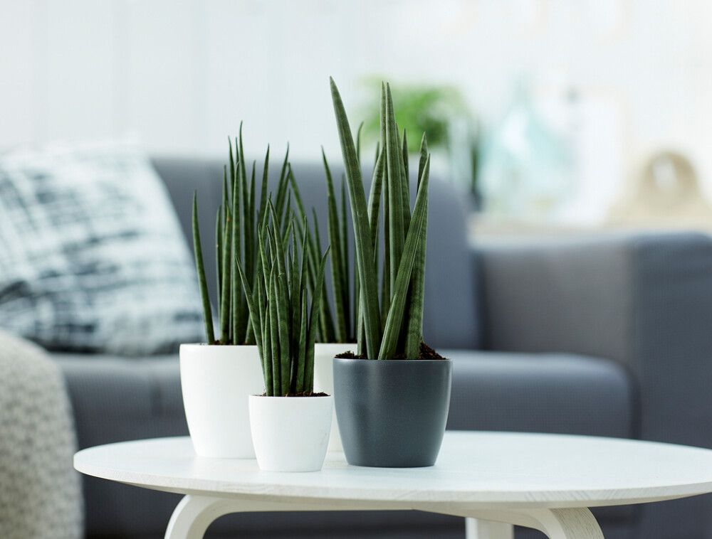 Blómapottur Brussels Round Mini Ø13cm dökkgrár