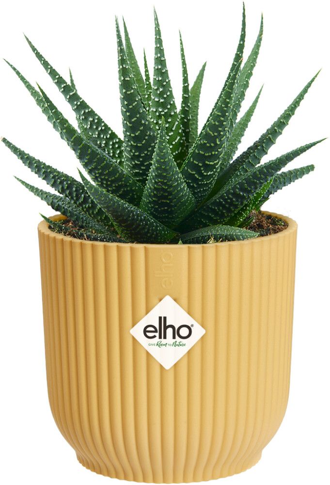 Blómapottur Vibes Fold Mini Ø11cm gulur