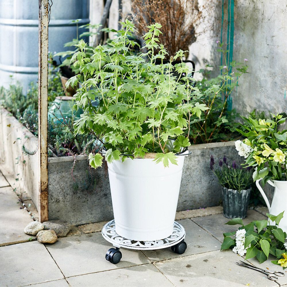 Rúllubretti fyrir blómapott Ø29mm Gardol 50kg hvítt