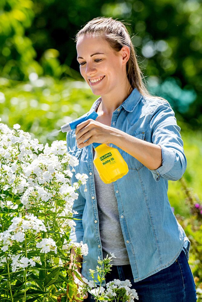 Þrýstibrúsi 0,5L Hobby 05