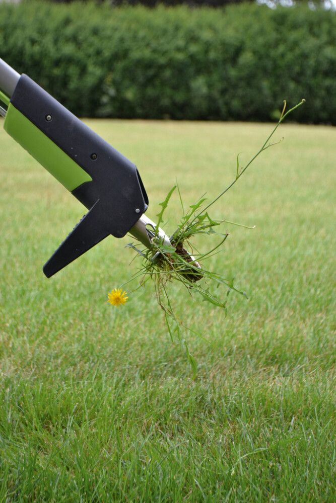 Illgresisbani Freund grænn 103cm