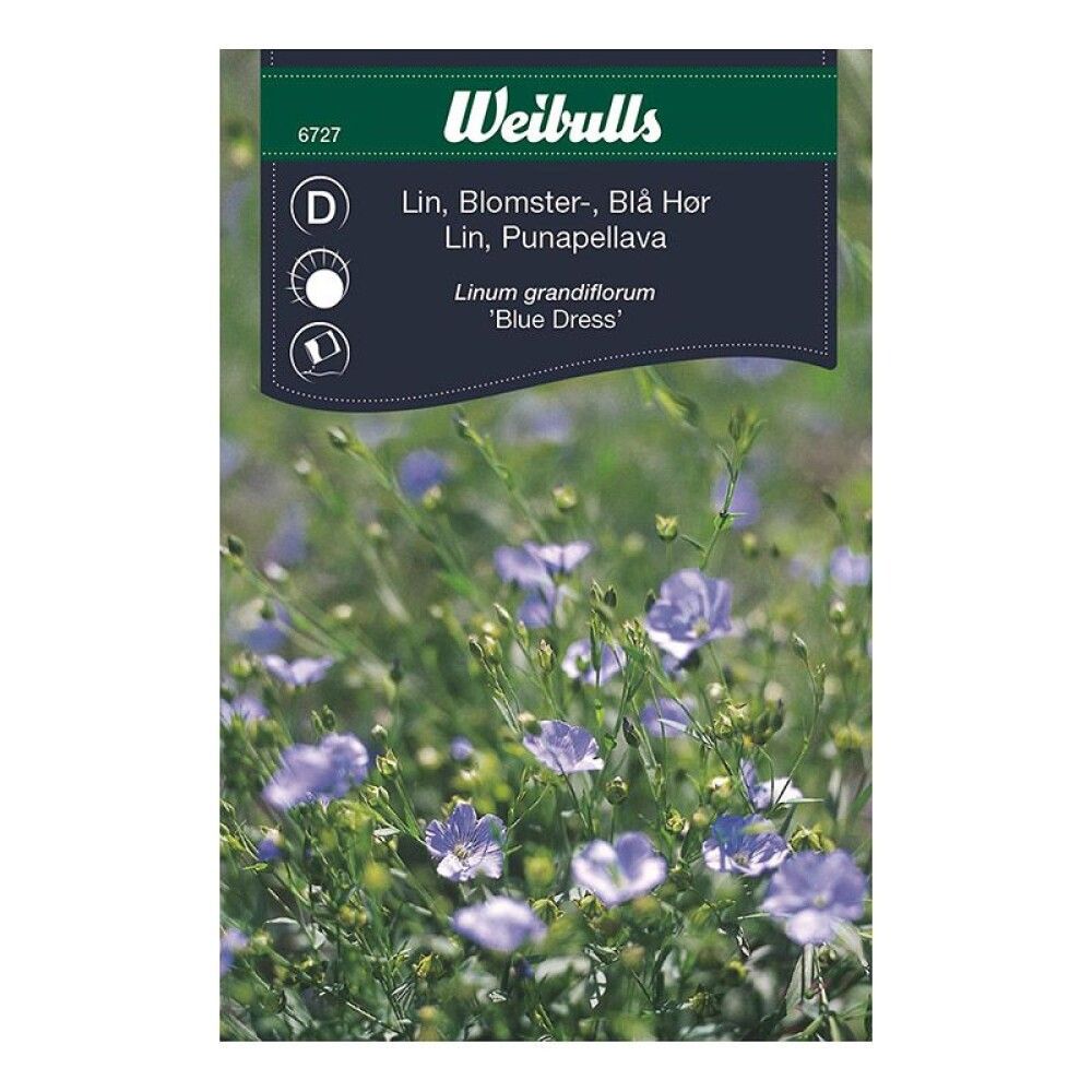 Sumarlín blá fræ Weibulls Linum grandiflorum