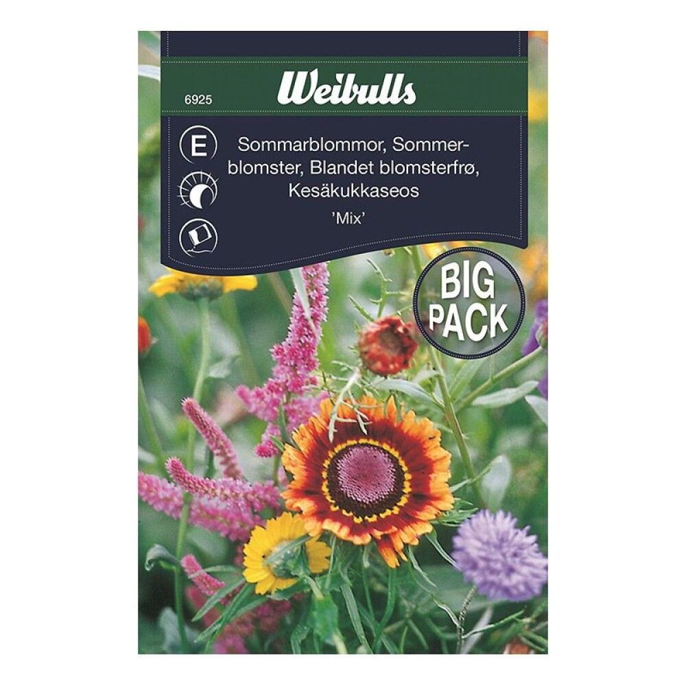 Sumarblóm blönduð fræ Stór pakki Weibulls