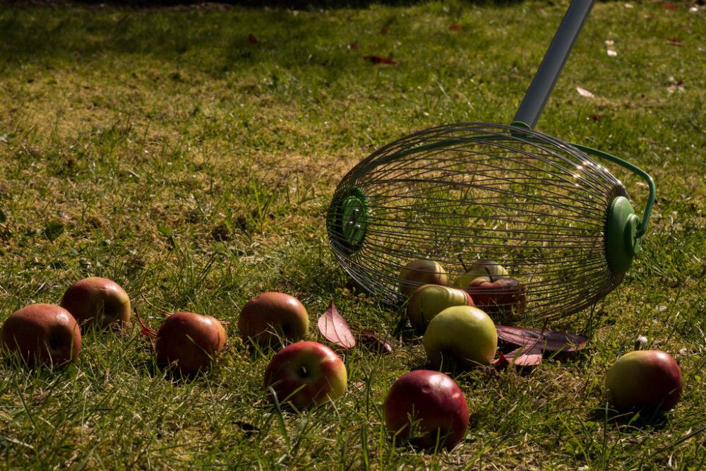 Ávaxtatína 110/167cm Freund