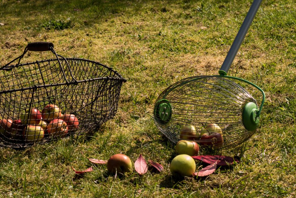 Ávaxtatína 110/167cm Freund