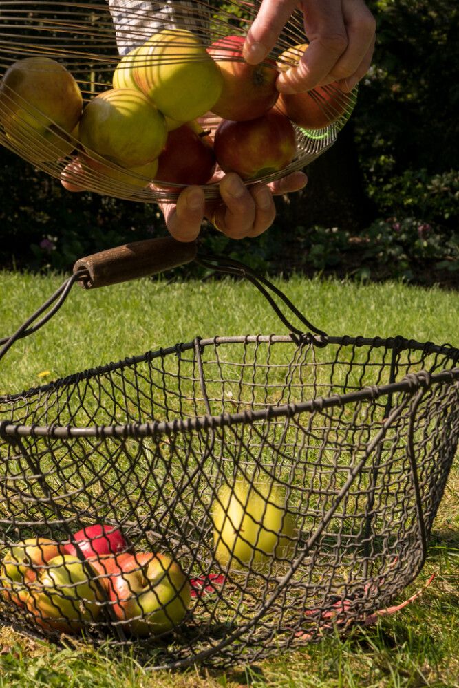 Ávaxtatína 110/167cm Freund