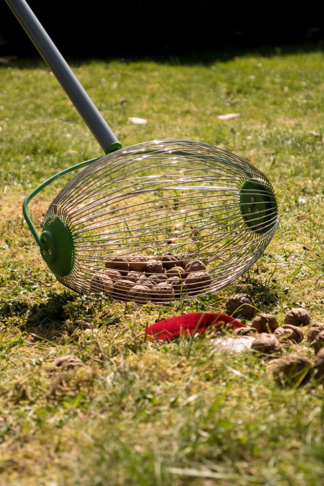 Ávaxtatína 110/167cm Freund