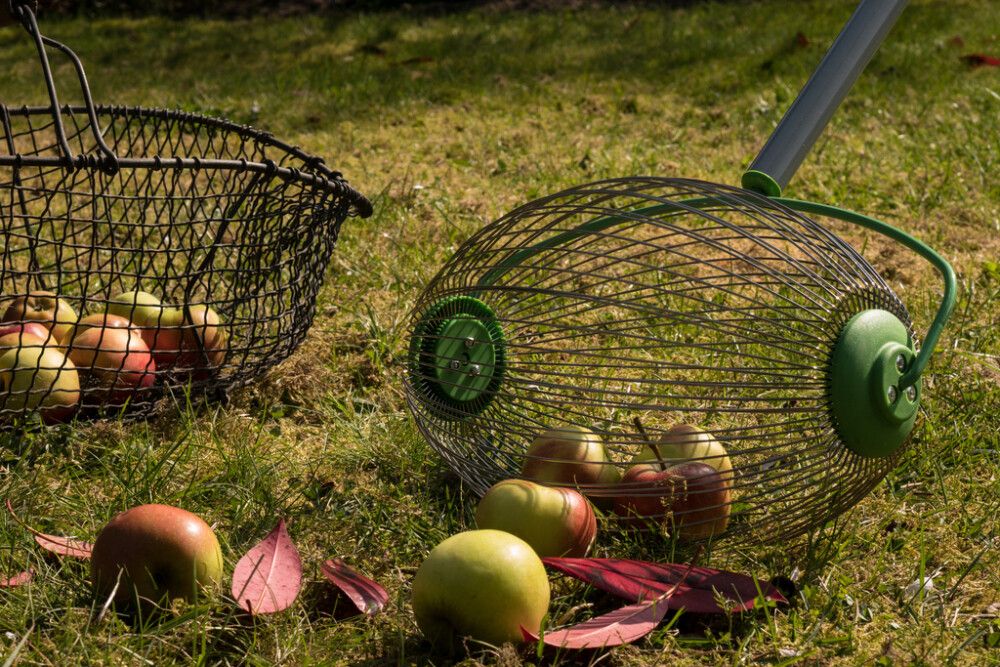 Ávaxtatína 110/167cm Freund