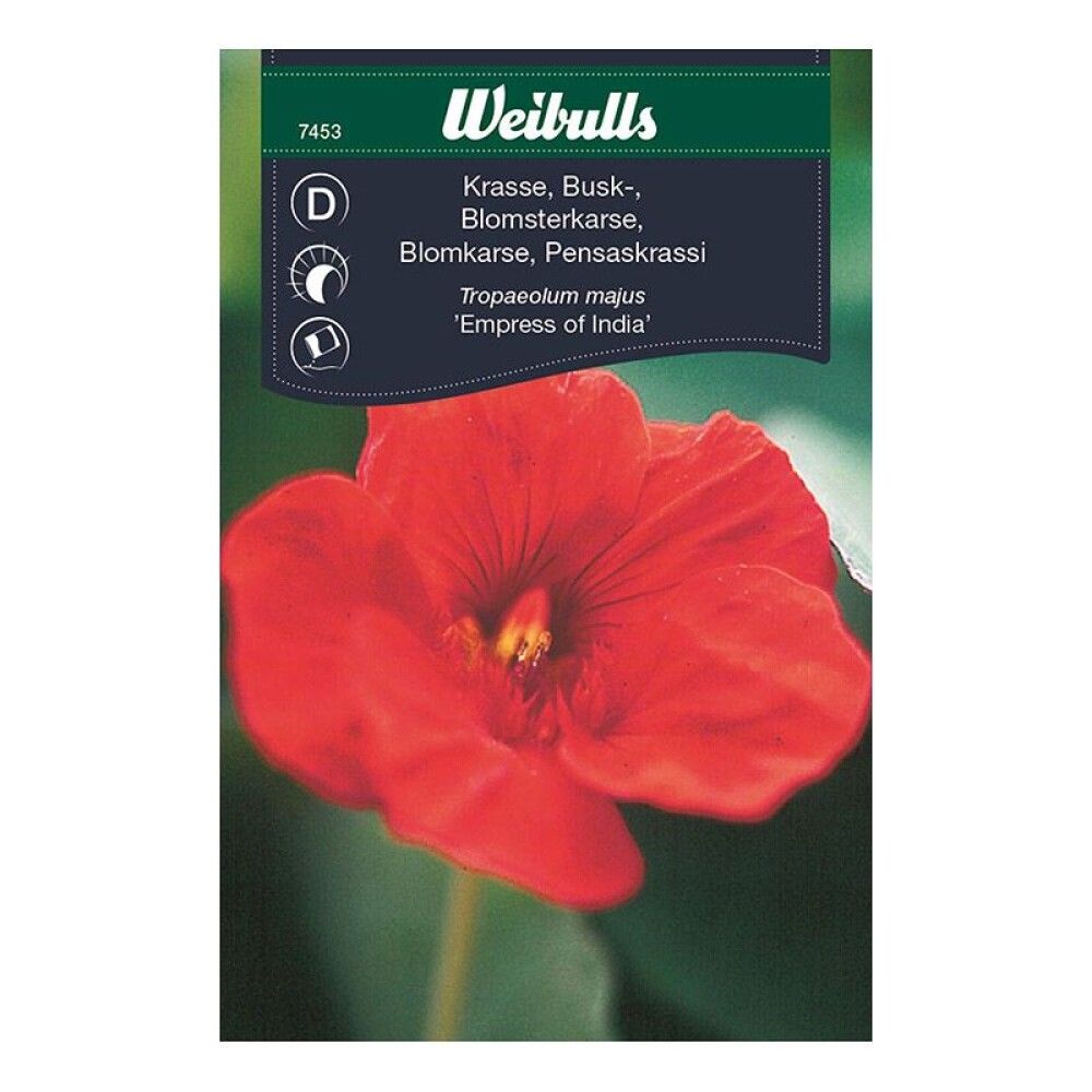 Skjaldflétta fræ Weibulls Tropaeolum majus