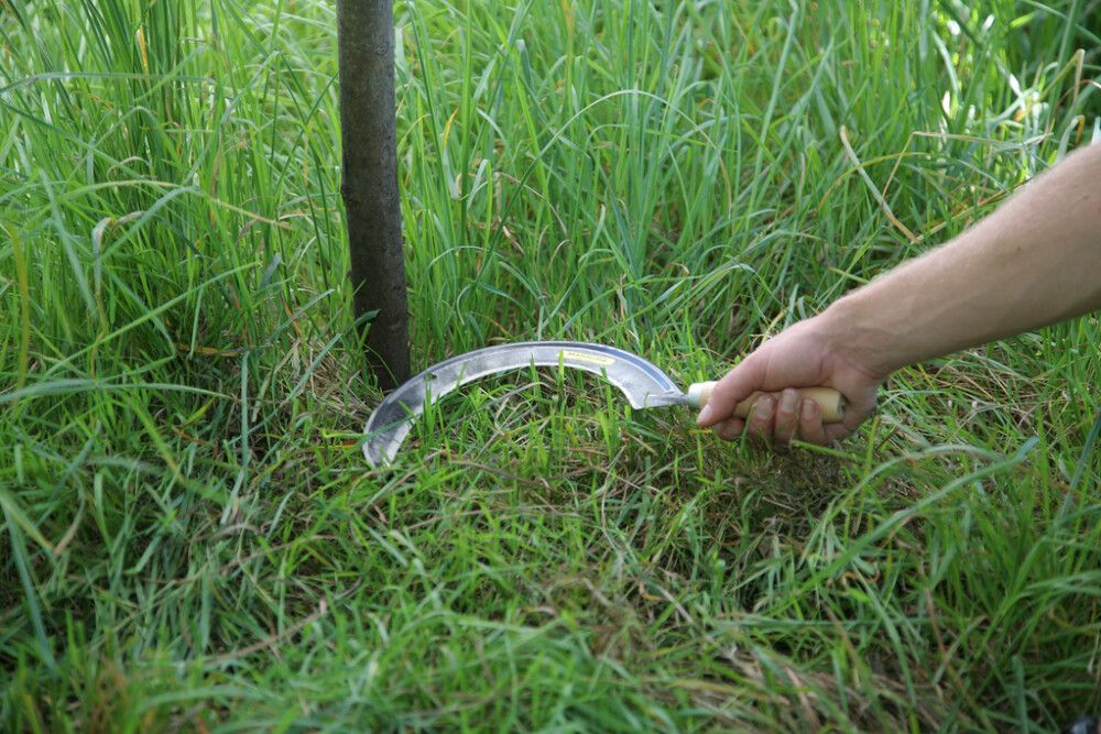 Handljá 35,5cm Freund