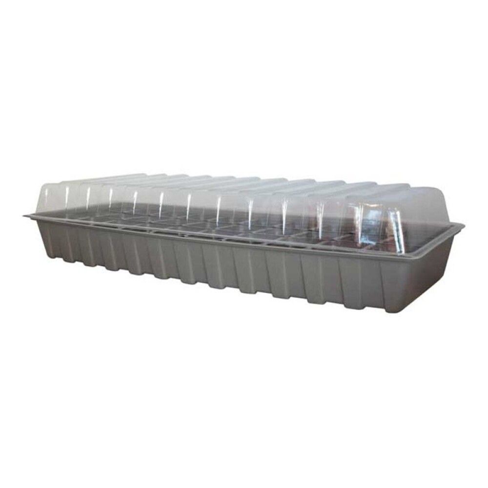 Plöntunarbakki grár Weibulls