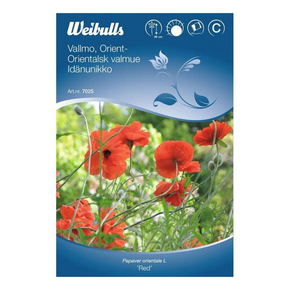 Tyrkjasól fræ Weibulls Papaver orientale L