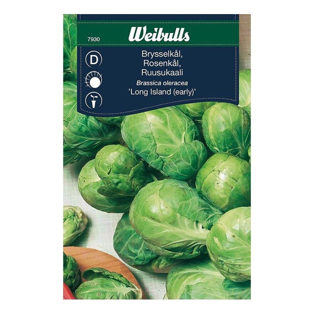 Rósakál fræ Weibulls Brassica oleracea