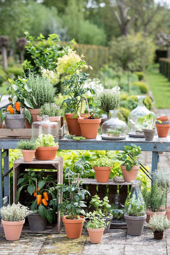 Blómapottur antík 14/15cm Scan-Pot