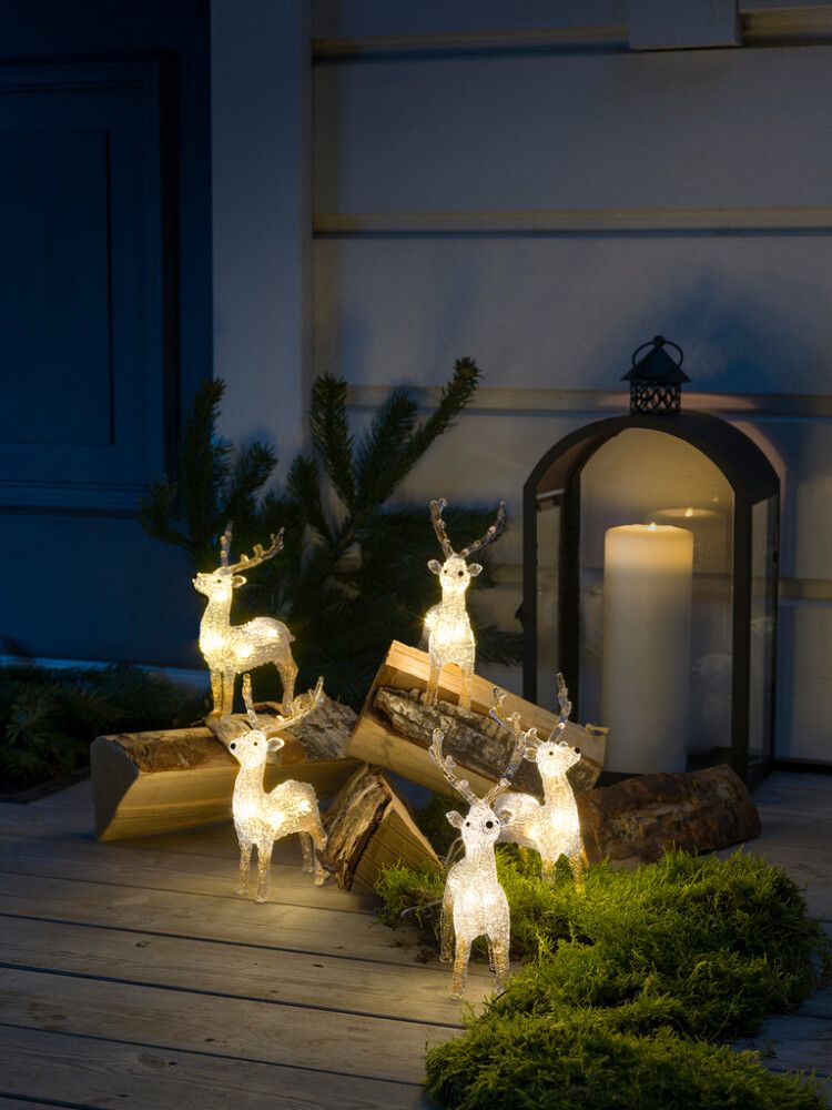 Smámynd 6