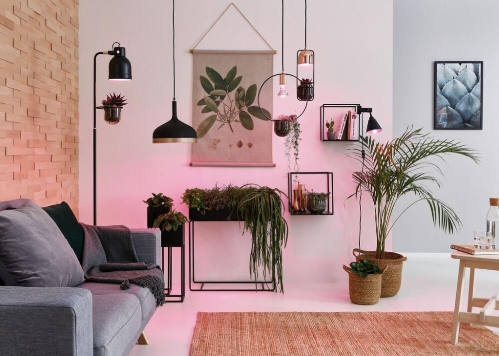 Gróðurpera LED E27  Filament Grow Green Reflector 115°