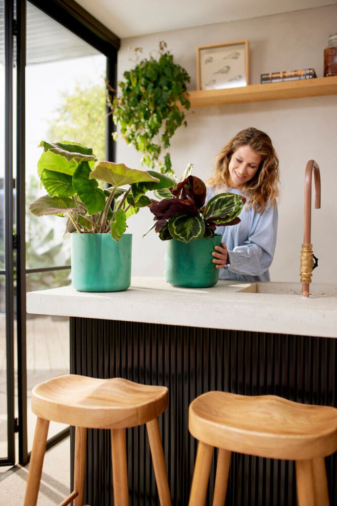 Blómapottur Ocean plast Ø16cm grænn