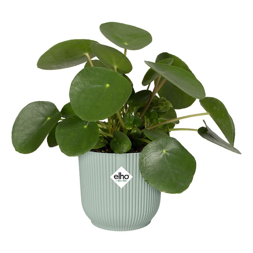 Blómapottur Vibes Fold Round Ø18cm minta