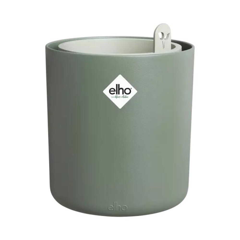 Blómapottur fyrir basiliku Bouncy Basil Ø17cm grænn