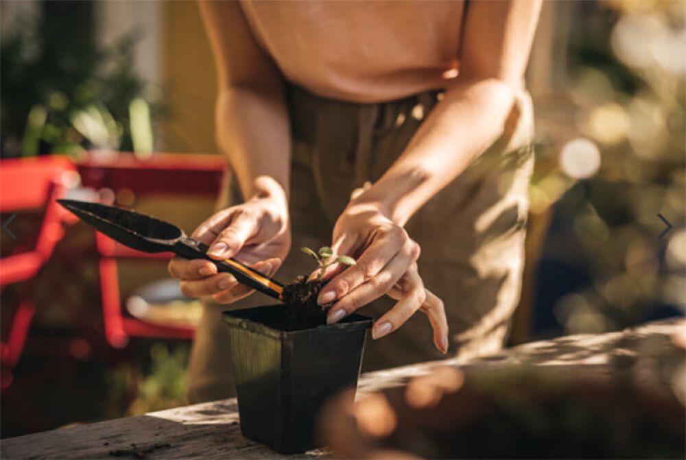 Plöntuskófla Fiskars Solid