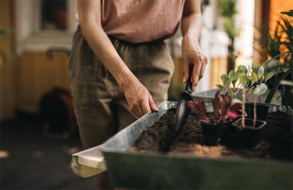 Plöntuskófla Fiskars Solid