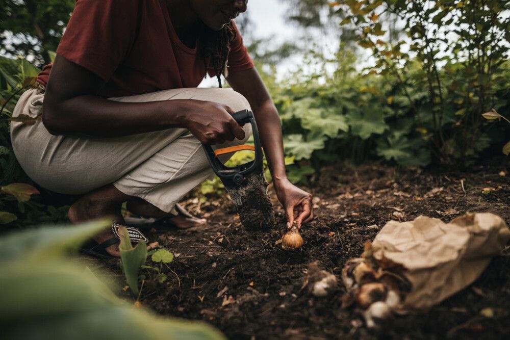 Plantari fyrir vor- & haustlauka Fiskars