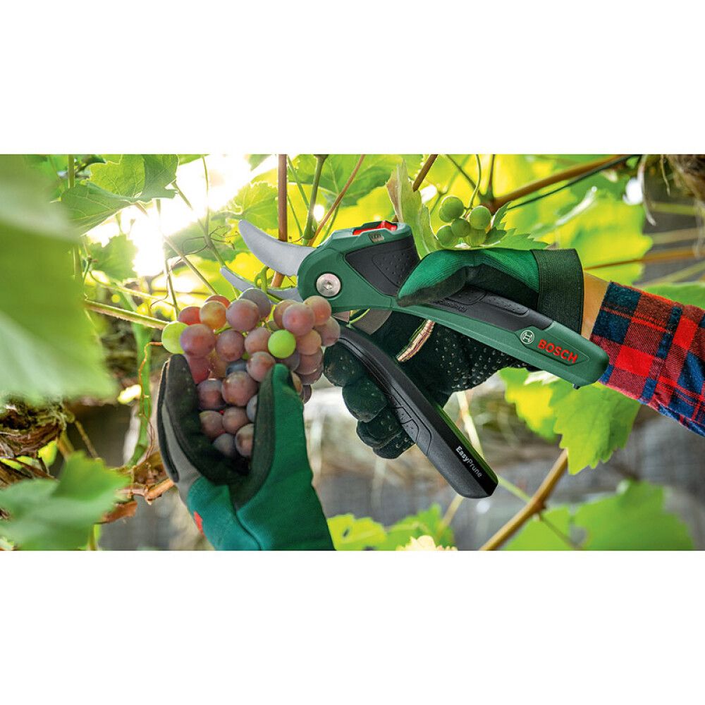 Greinaklippur 3,6V Bosch  EasyPrune