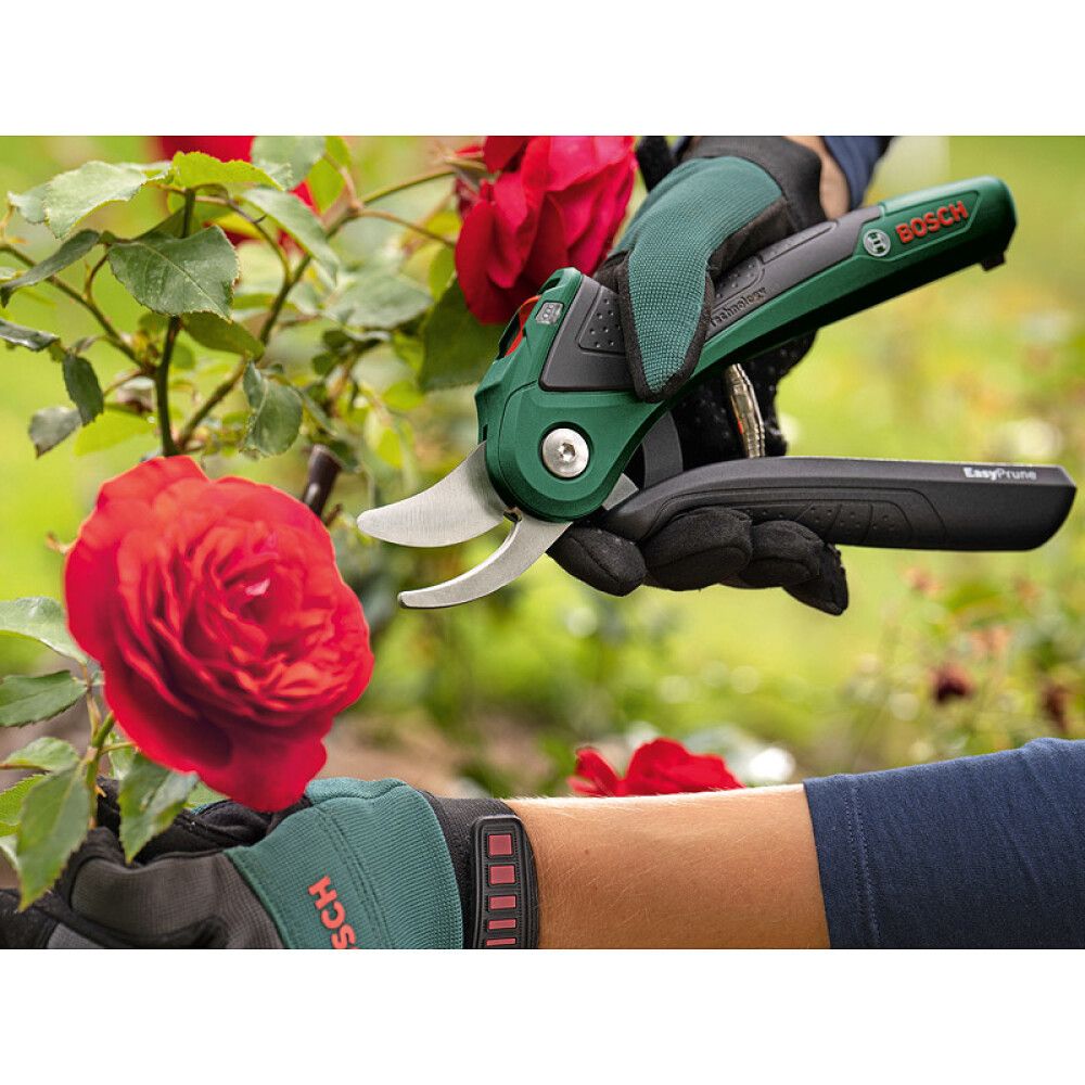 Greinaklippur 3,6V Bosch  EasyPrune