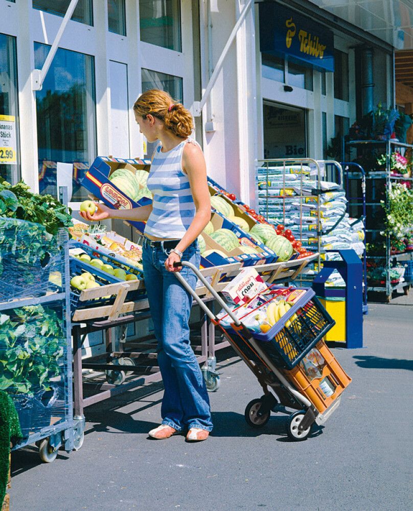 Trilla Wolfcraft TS600 70kg