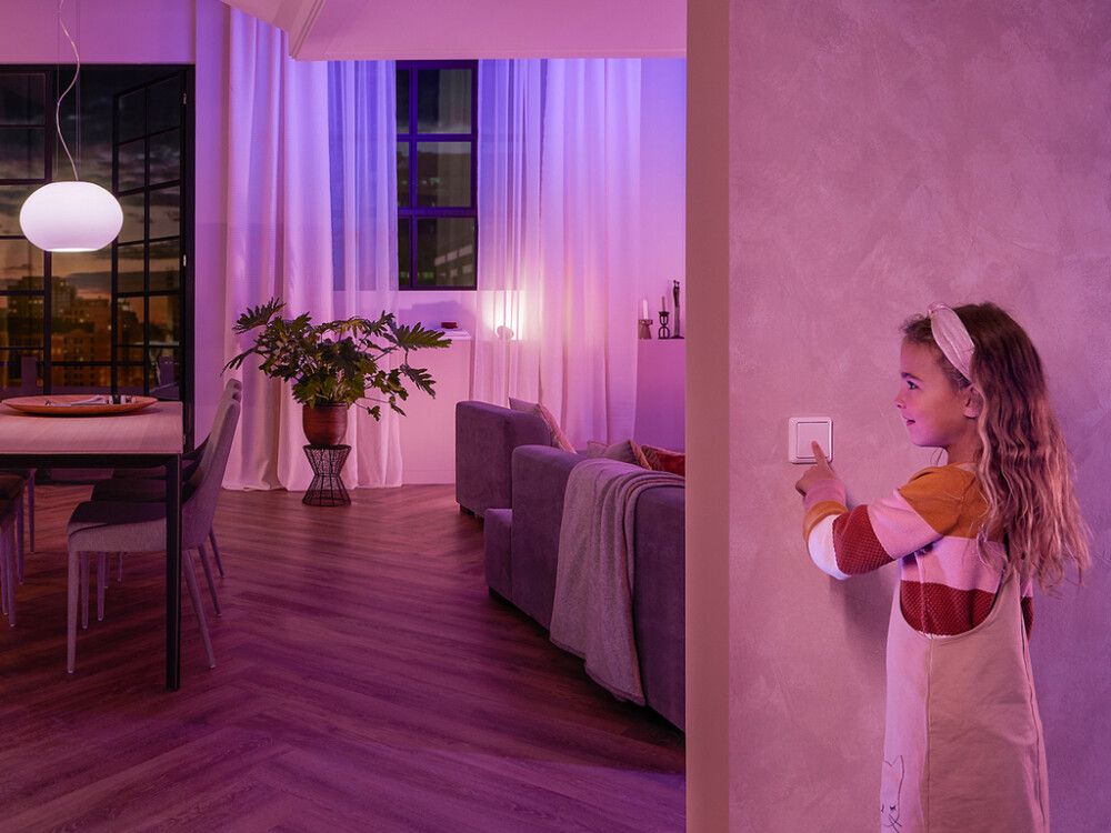 Snjallrofi fyrir ljósrofa Philips Hue