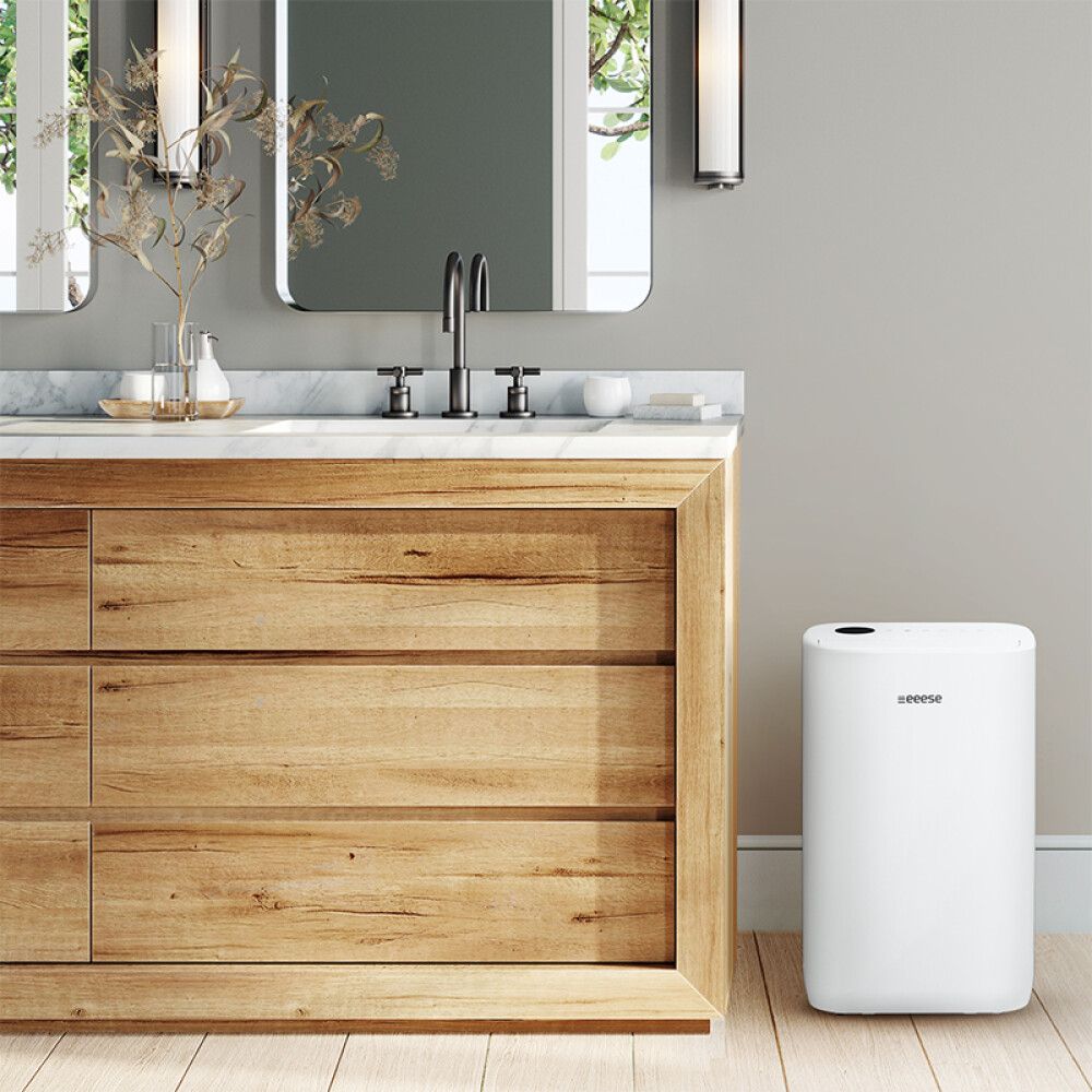 Afrakatæki og lofthreinsir wifi Eeese Model Otto 20L