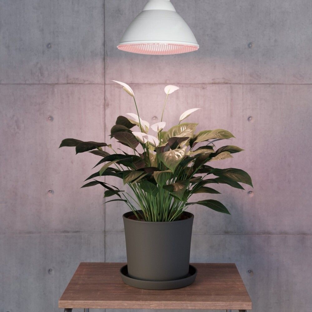 Gróðurpera LED E27 16W Ø120 mm