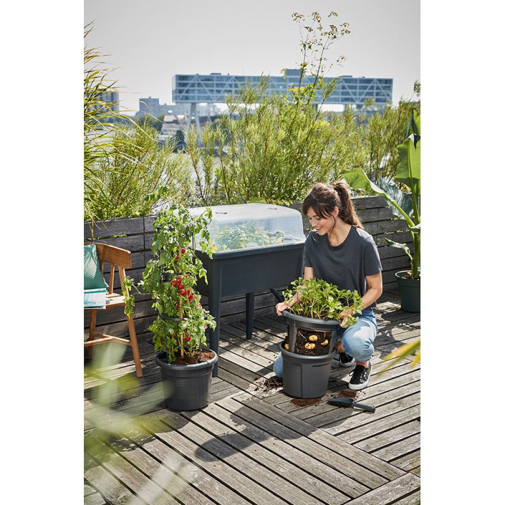 Lok á gróðurkassa Basics Grow House Super XXL