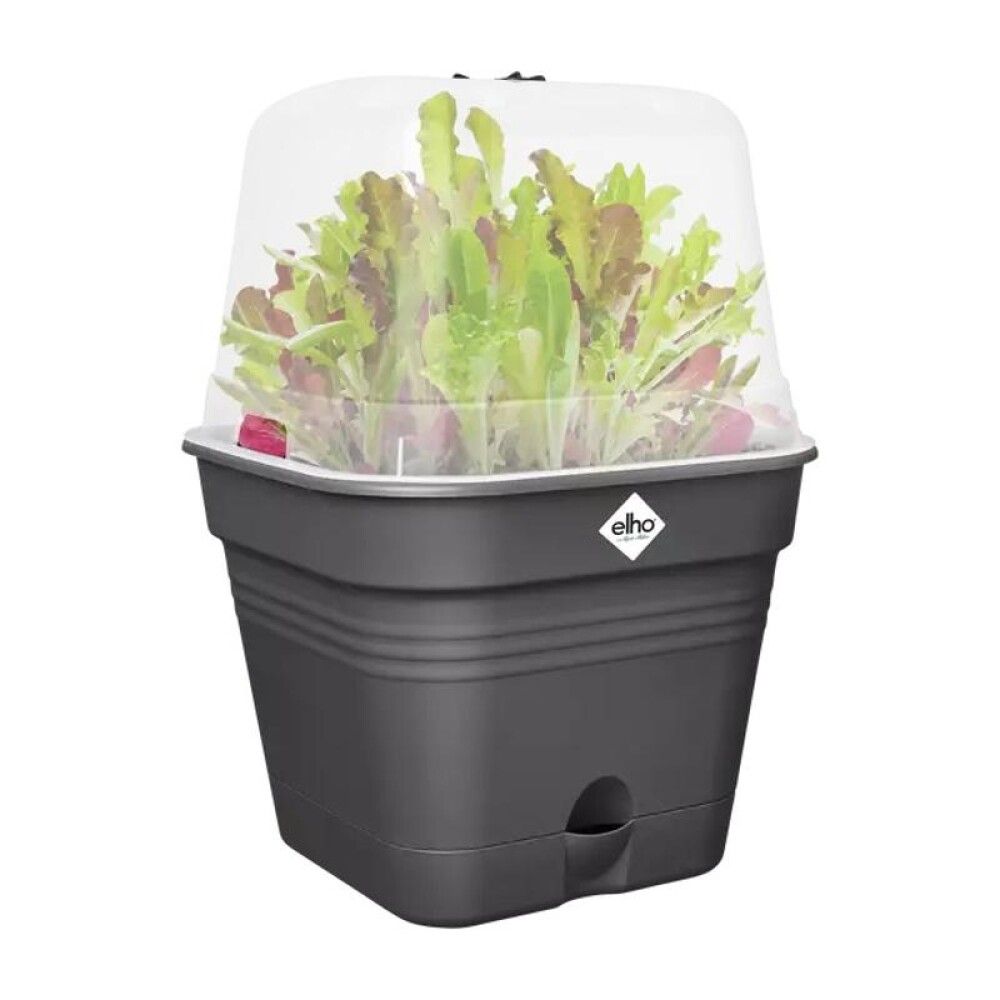 Gróðurbakki Green Basics 20cm svartur