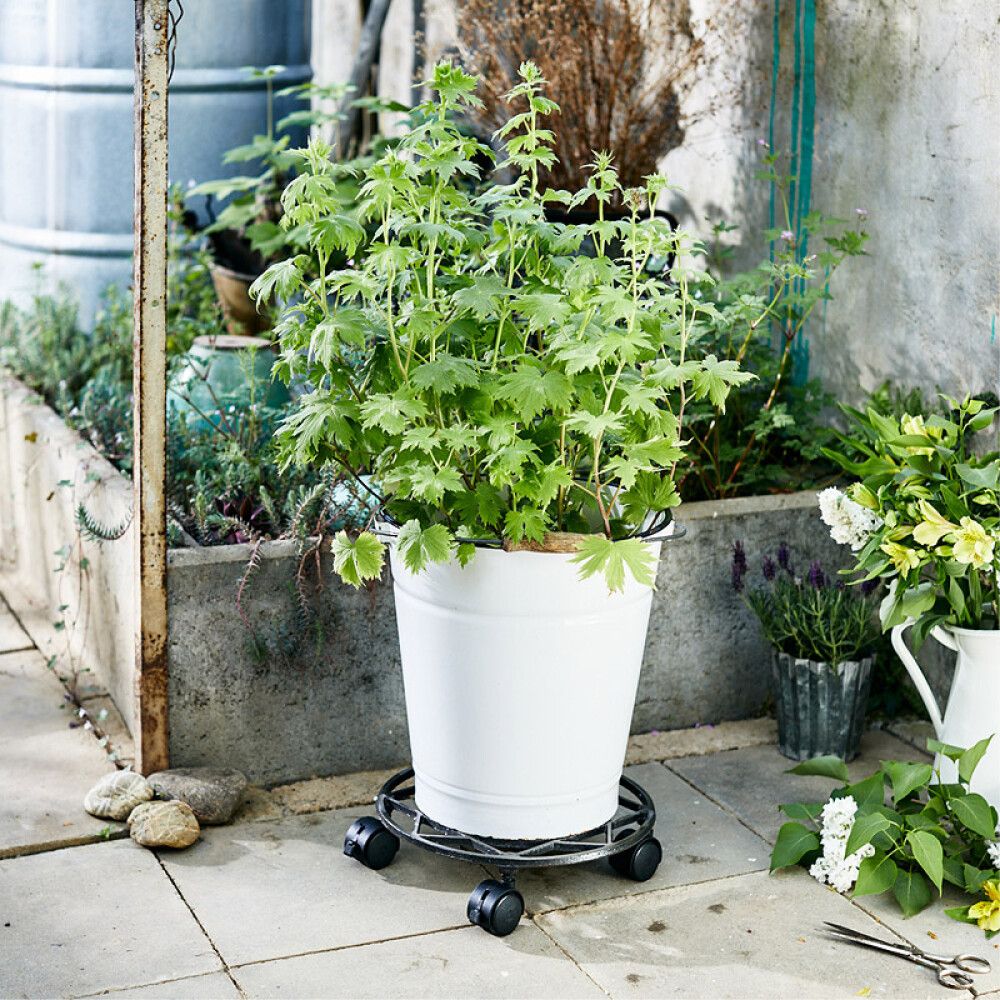 Rúllubretti fyrir blómapott 28,5cm 50kg ryð