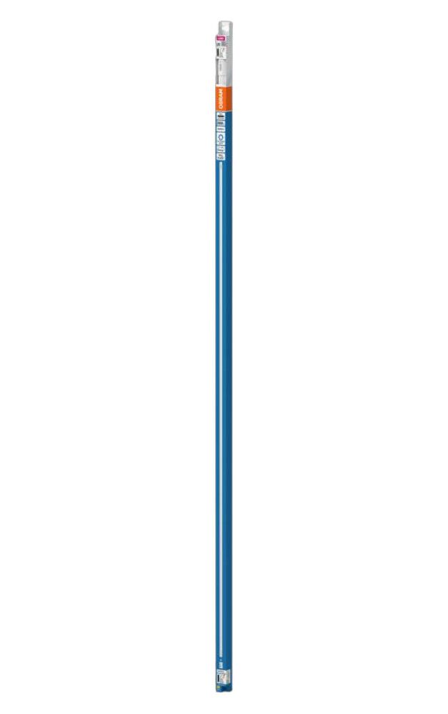 Smámynd 3