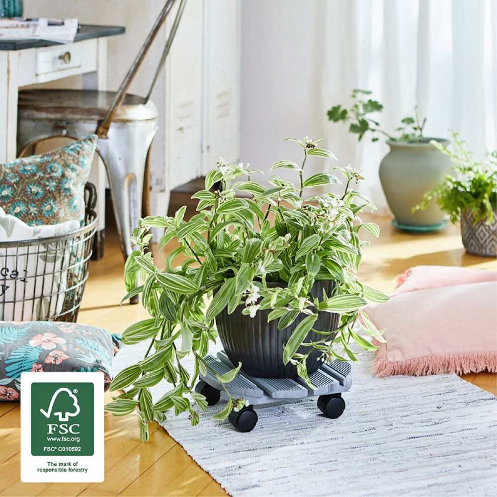 Rúllubretti fyrir blómapott 29cm 100kg grátt 