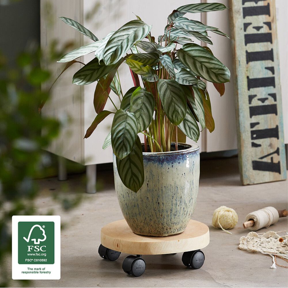 Rúllubretti fyrir blómapott 25-30cm 50kg