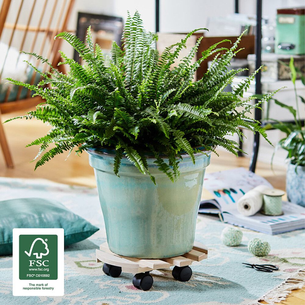 Rúllubretti fyrir blómapott 35cm 100kg tré