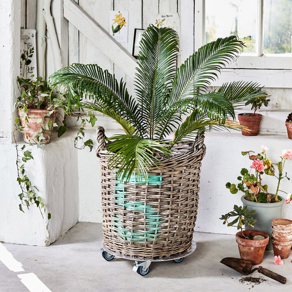 Rúllubretti fyrir blómapott 38cm 100kg