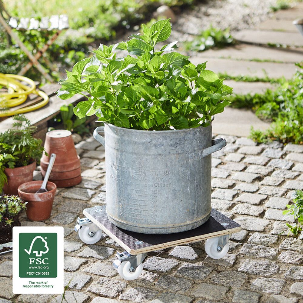 Rúllubretti fyrir blómapott 38cm 300kg